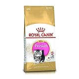 Royal Canin C-58426 Gato Persian - 2 Kg