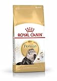 Royal Canin Persian - Pienso para gatos de raza persa 4Kg