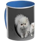 Pets-easy - Taza con foto de gato persa, color blanco
