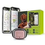 KIPPY EVO – GPS Tracker para Collar Perro o Gato – Rastreador de Salud y Actividad – GPS Satelital para Collar GPS Perros o Gatos – Localizador GPS Hidrófugo con Alertas Instantáneas y LED - Rosa