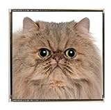 Insignia cuadrada de gato persa con bolsa de terciopelo, 25mm x 25mm, Metal