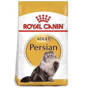 mejor alimento para gato persa